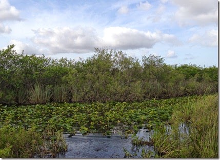 2014-04-04-Everglades04