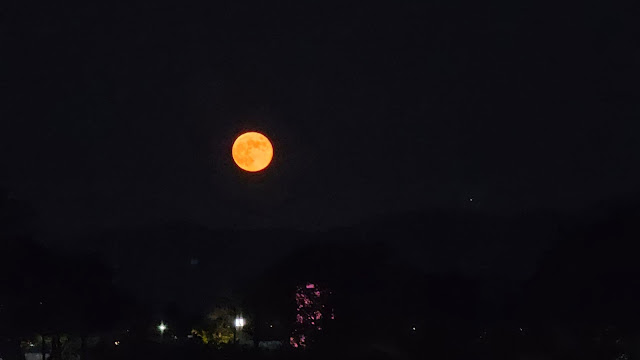 Rising Moon in Gyeongju