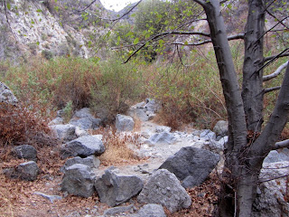 Crossing the main creek on Fish Canyon Trail en route to Fish Canyon Falls