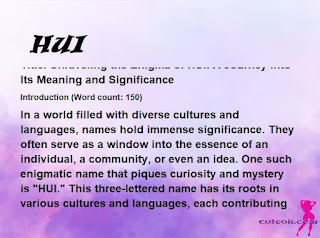 meaning of the name "HUI"