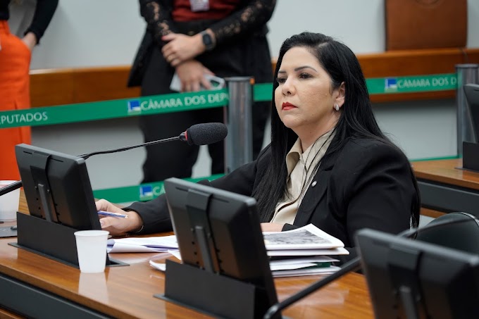 Fortalecimento das penas para furto e roubo é defendido pela Deputada Cristiane Lopes na Câmara Federal