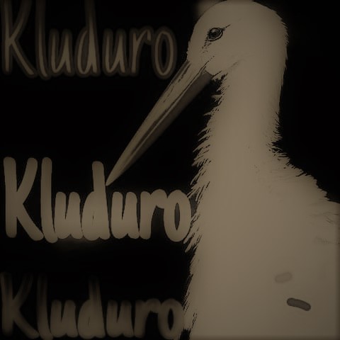 Kluduro