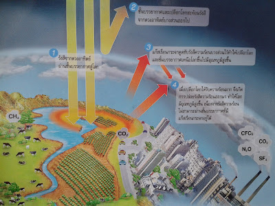 4 ขั้นตอนเกิดปรากฏการณ์เรือนกระจก