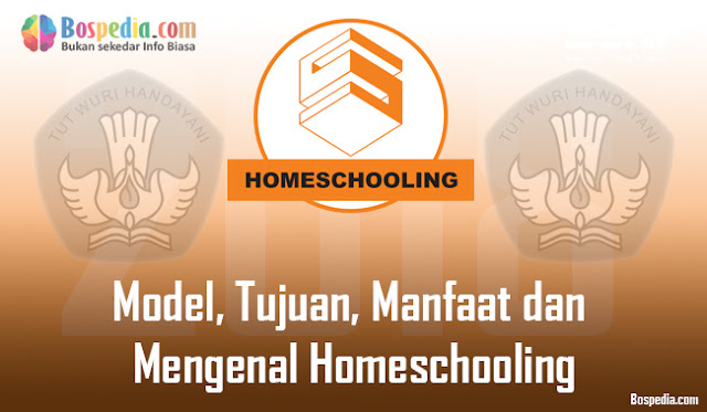 Model, Tujuan, Manfaat Dan Mengenal Homeschooling