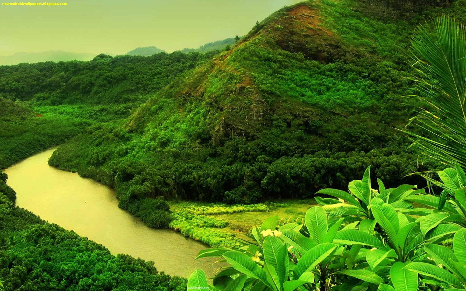 Beautiful Nature Wallpaper Download