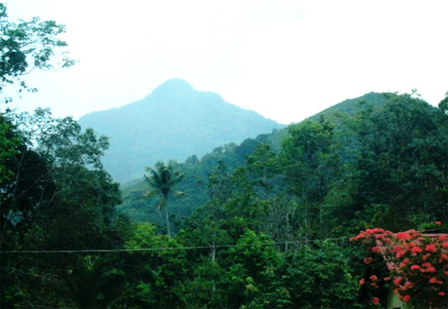 Gunung tiong kandang