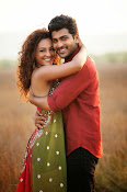 Run Raja Run Movie Stills-thumbnail-3