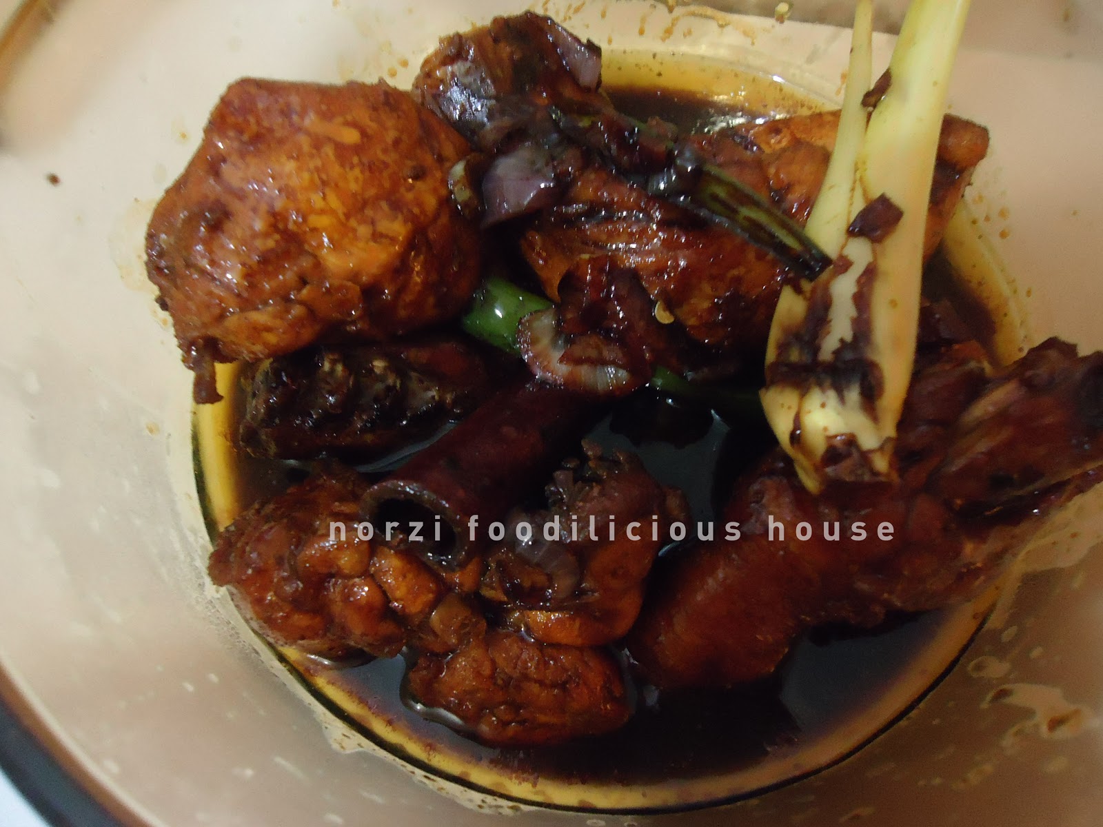 NORZI FOODILICIOUS HOUSE: RESEPI : AYAM MASAK KICAP