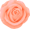 orangebara