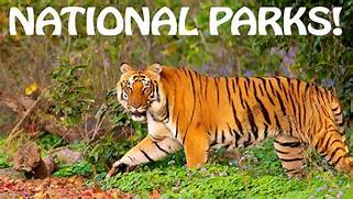 National Parks in India