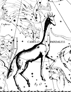 Образ на съзвездието Жираф | Camelopardalis