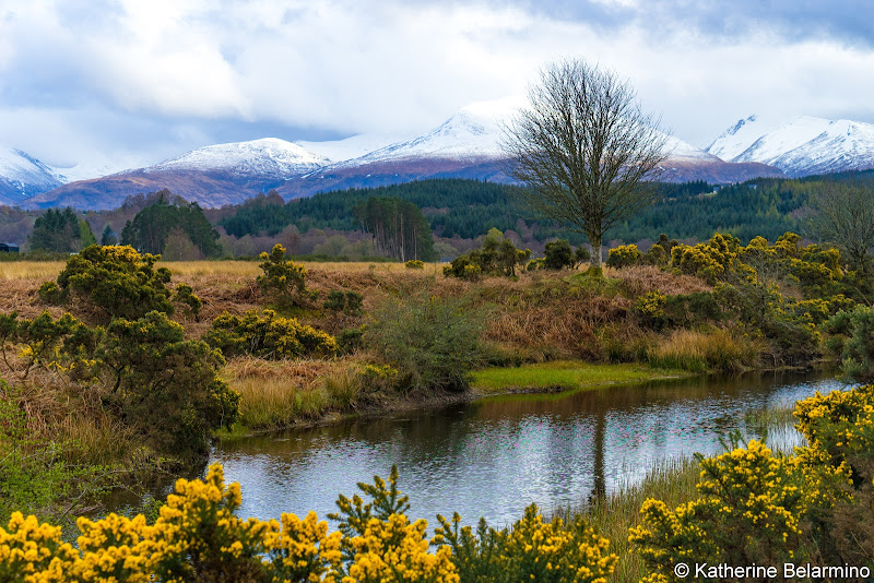 Nevis Range Scottish Highlands Barge Cruise