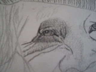 Thechnique du portrait, thechnique d'ombre 9