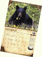 Free Wildlife 2010 Calendar