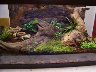 vivarium