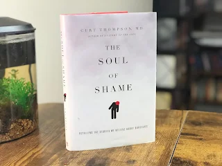 This is a book review of The Soul of Shame, a book by Curt Thompson M.D., released through IVP Books in 2015.