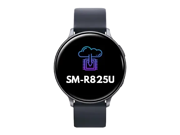 Full Firmware For Device Samsung Galaxy Watch Active 2 44mm SM-R825U