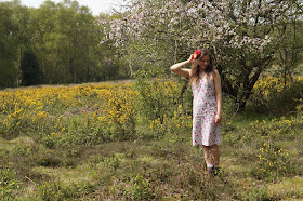 amongst the blossom and gorse