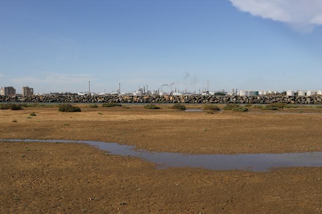 Zona yerma del espigón y la industria química de Huelva.