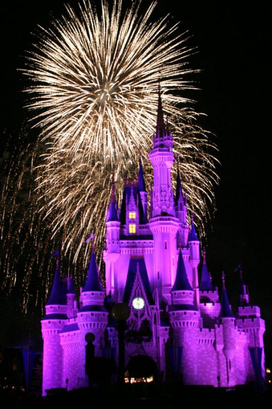 walt disney world castle pictures. makeup Walt Disney World