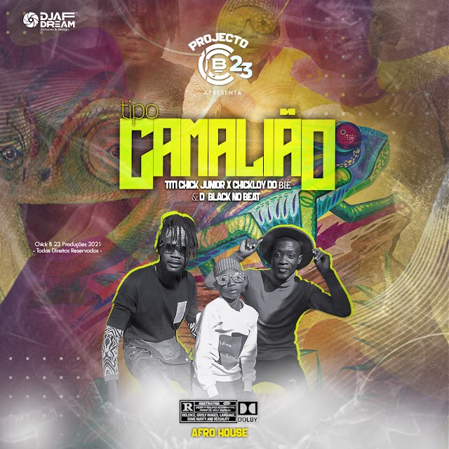 Projecto chick B - Tipo Camaleão (Download mp3)