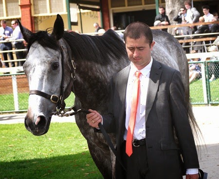 fawkner 3