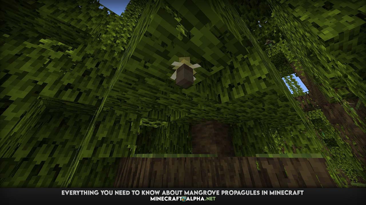 Everything you need to know about mangrove propagules in Minecraft