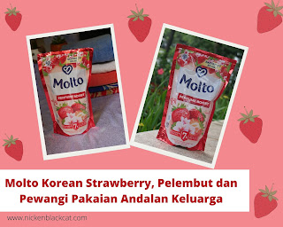 Pelembut dan pewangi andalan keluarga, Molto Korean Strawberry