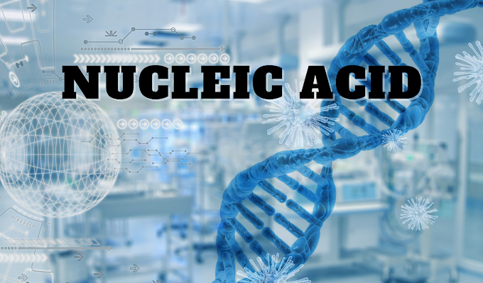 CHAPTER 1: BIOMOLECULES PART 4- NUCLEIC ACID (By Microbiology Doctor dr) - Doctor_dr