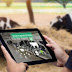 Livestock Monitoring Technology for Improving Animal Welfare and Health!