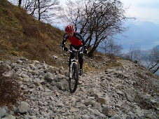 Samling Italia 2008
