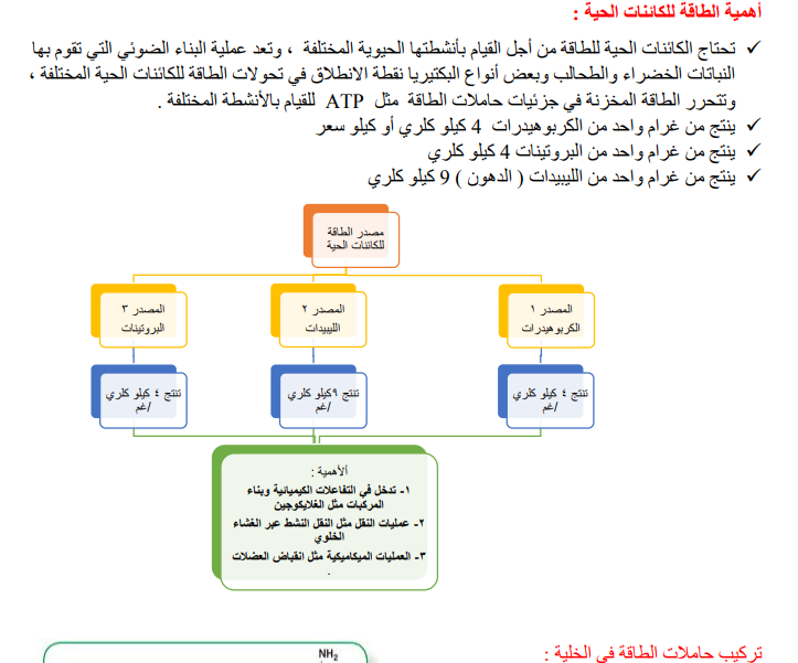 ملخص الوحدة الأولى علوم حياتية للكتاب المدرسي للصف الثاني عشر علمي