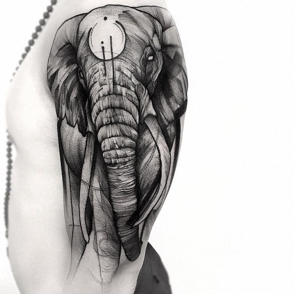 este_cativante_elefante