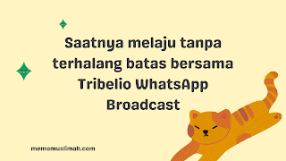 tribelio-whatsapp-broadcast