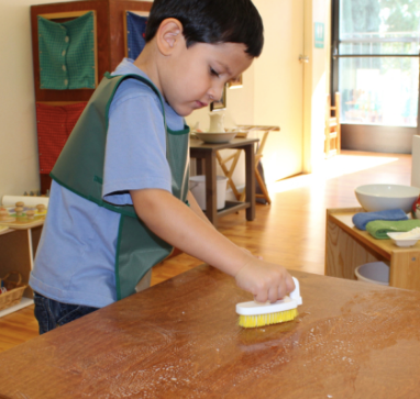 Montessori Activities of Everyday Living