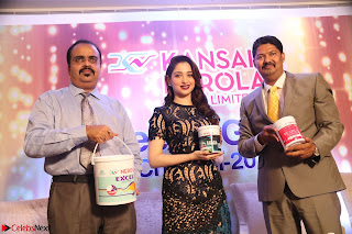 Tamannaah Bhatia at Launch of Kansai Nerolac new products Pics 033.jpg