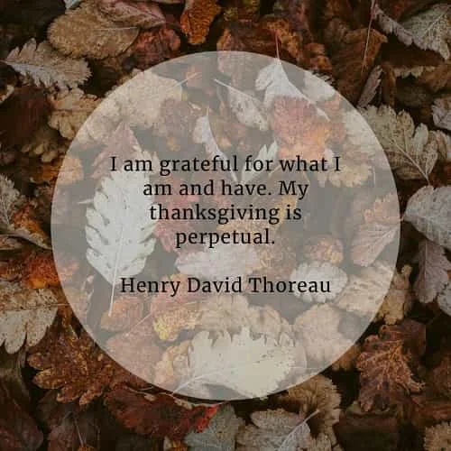 Thanksgiving quotes that'll inspire you to be thankful