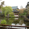 Beautiful Chinese Garden : 10 of the best: nature photographs. - Page 87 / Download all photos and use them even for commercial projects.