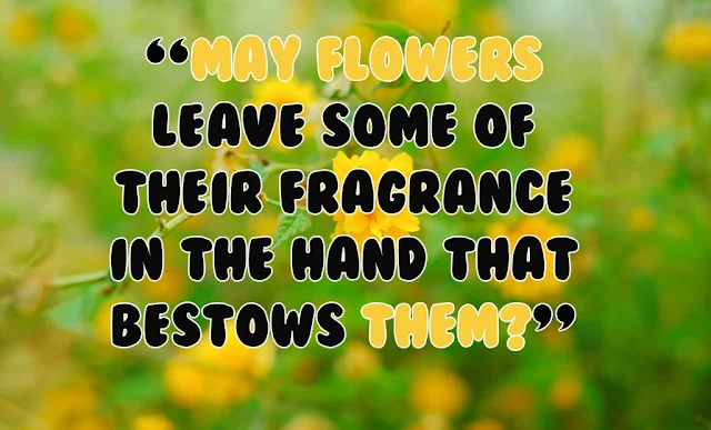 May flowers quotes