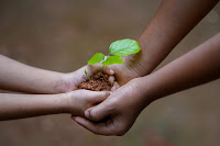 Photo of two people holding soil in their hands and a seed sprouting.