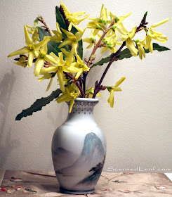 Forsythia flowers and bay laurel branch