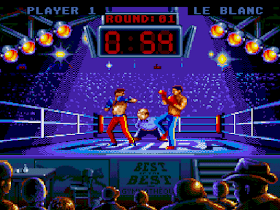 Best of the Best Championship Karate SNES
