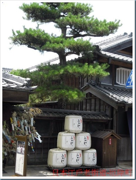 DSCN1906