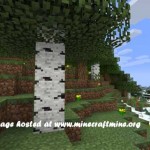 Better Biomes 150x150 Better Biomes Mod 1.6.2 Minecraft 1.6.2/1.6.1