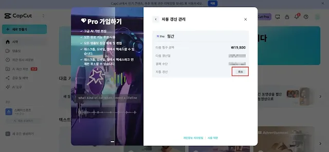 캡컷 웹사이트 Pro 구독 자동 갱신 관리 화면과 결제 취소 버튼 위치 안내