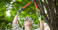 Garden-Cutting-Tools-How-to-Choose-and-Use-Efficiently