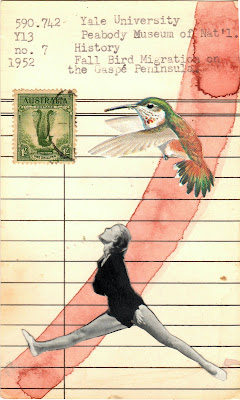 Library due date card vintage postage stamp dancer photo hummingbird identification illustration collage art by Justin Marquis