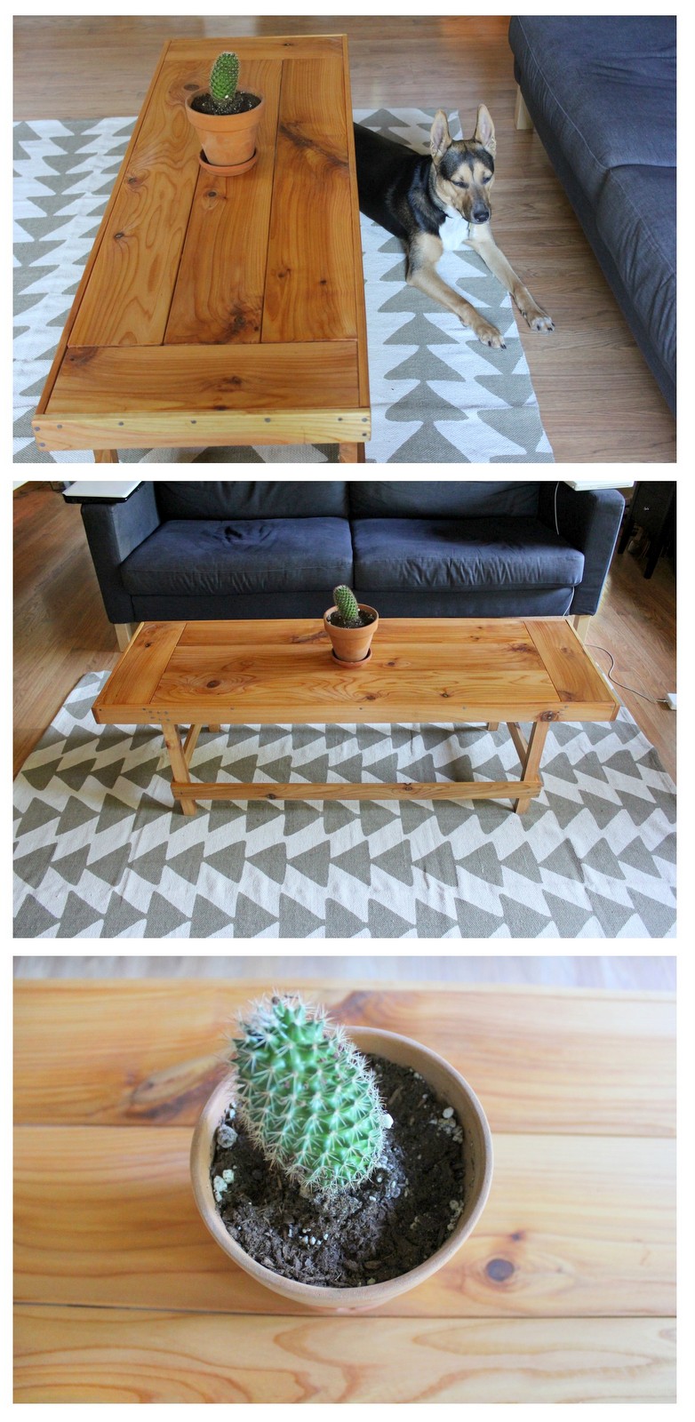Dream State: DIY Coffee Table on a Budget!
