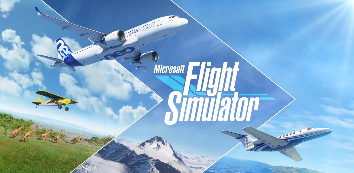Flight simulator