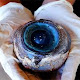 Mysterious eyeball washes ashore in Florida (video)